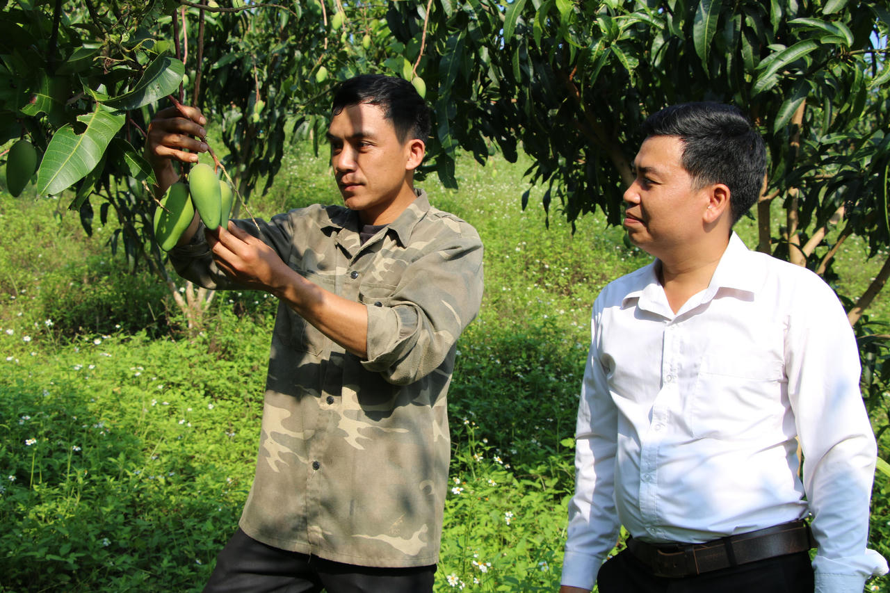 Đưa Nghị quyết Đại hội XIII của Đảng vào cuộc sống: Cuộc chuyển mình ở bản làng Sơn La - Đổi thay trên vùng đất một thời nghèo khó