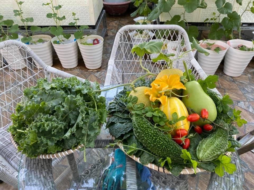 Bí kíp tạo nên những "mùa màng bội thu" trên sân thượng 