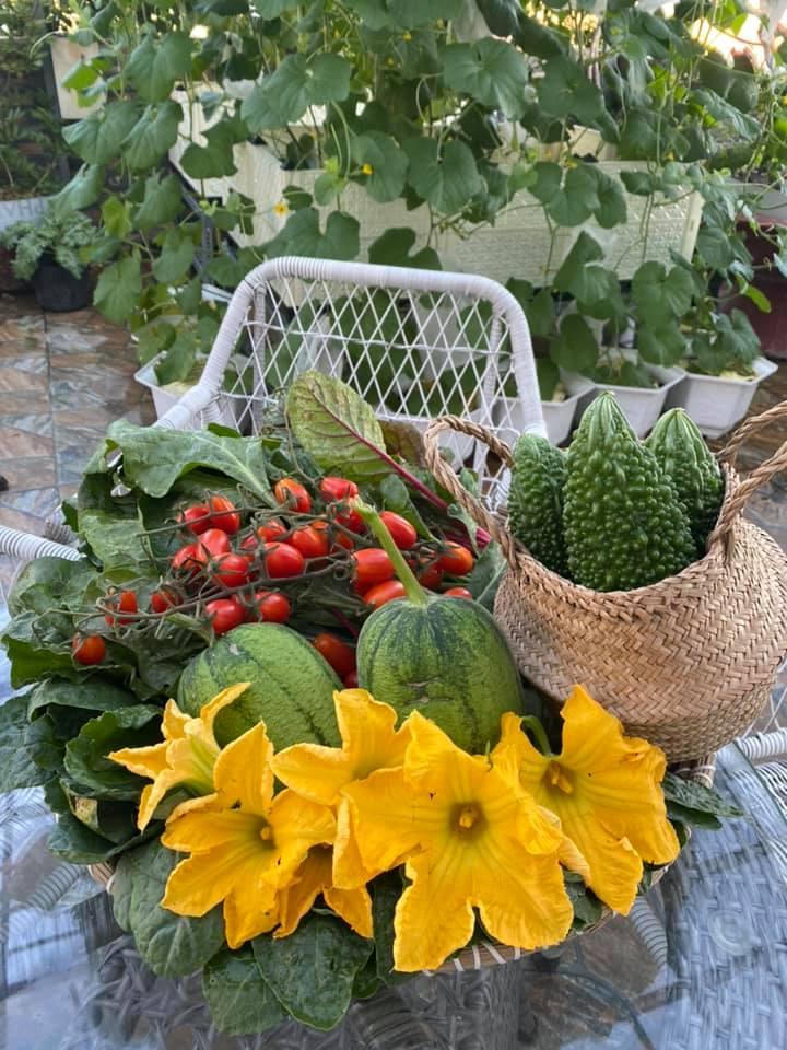 Bí kíp tạo nên những "mùa màng bội thu" trên sân thượng 