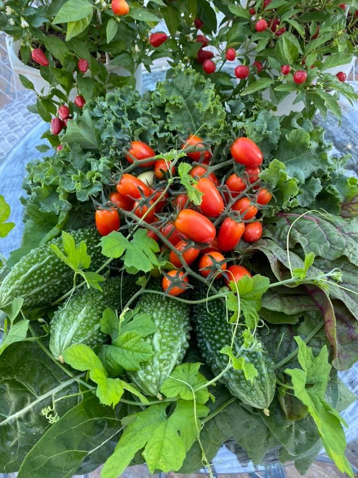 Bí kíp tạo nên những "mùa màng bội thu" trên sân thượng 