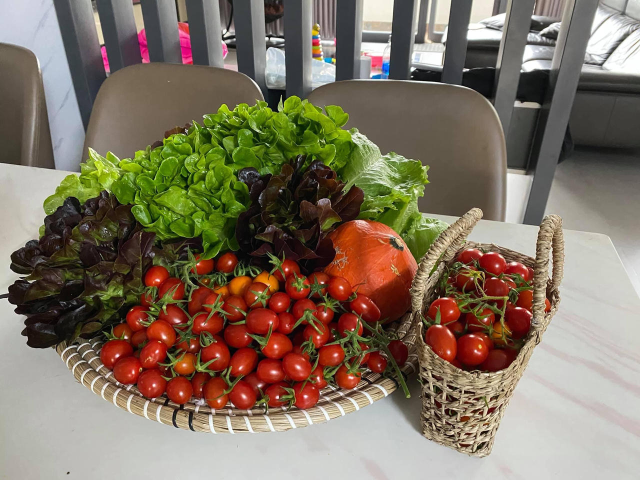 Bí kíp tạo nên những "mùa màng bội thu" trên sân thượng 