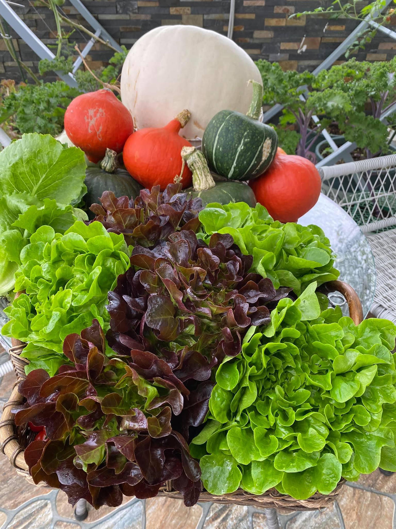 Bí kíp tạo nên những "mùa màng bội thu" trên sân thượng 