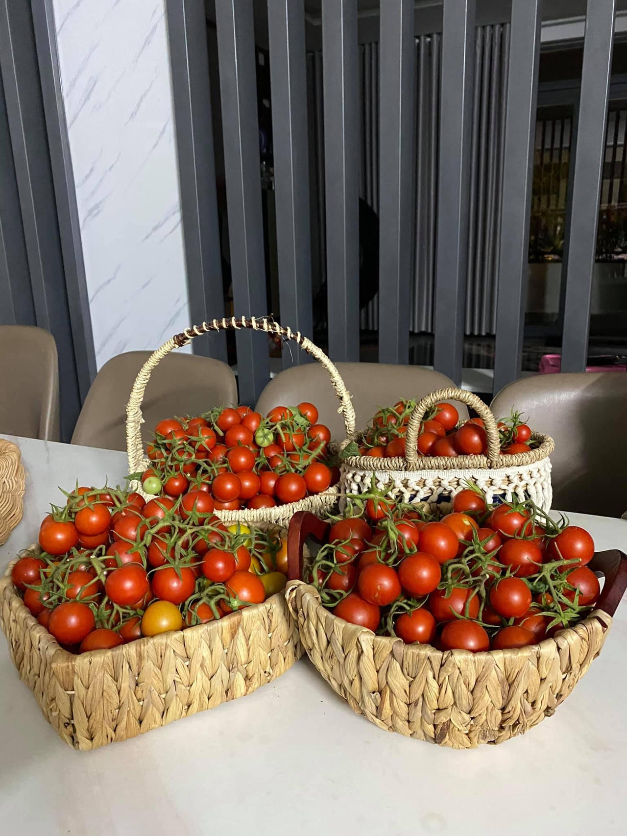 Bí kíp tạo nên những "mùa màng bội thu" trên sân thượng 