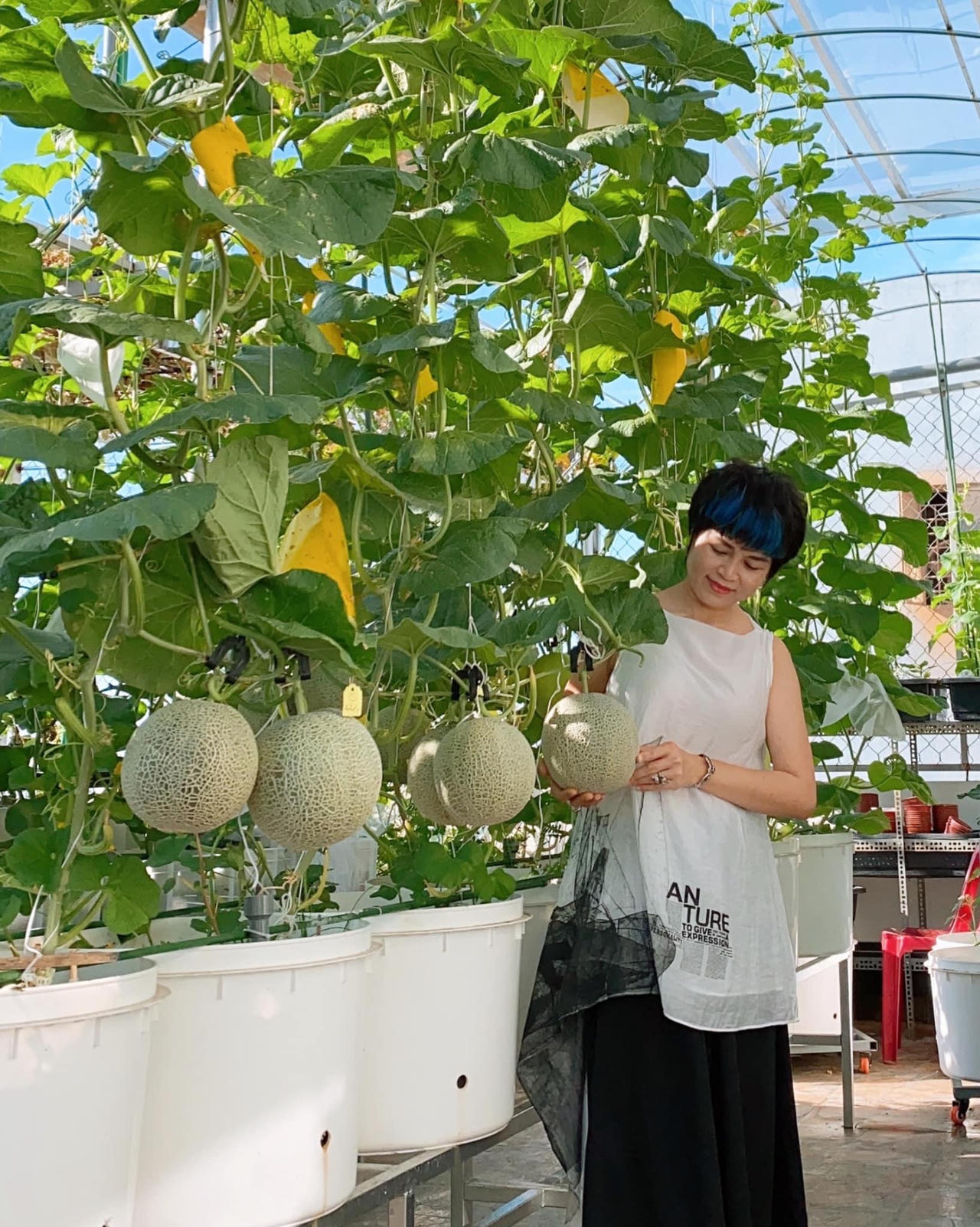 Bí kíp tạo nên những "mùa màng bội thu" trên sân thượng 