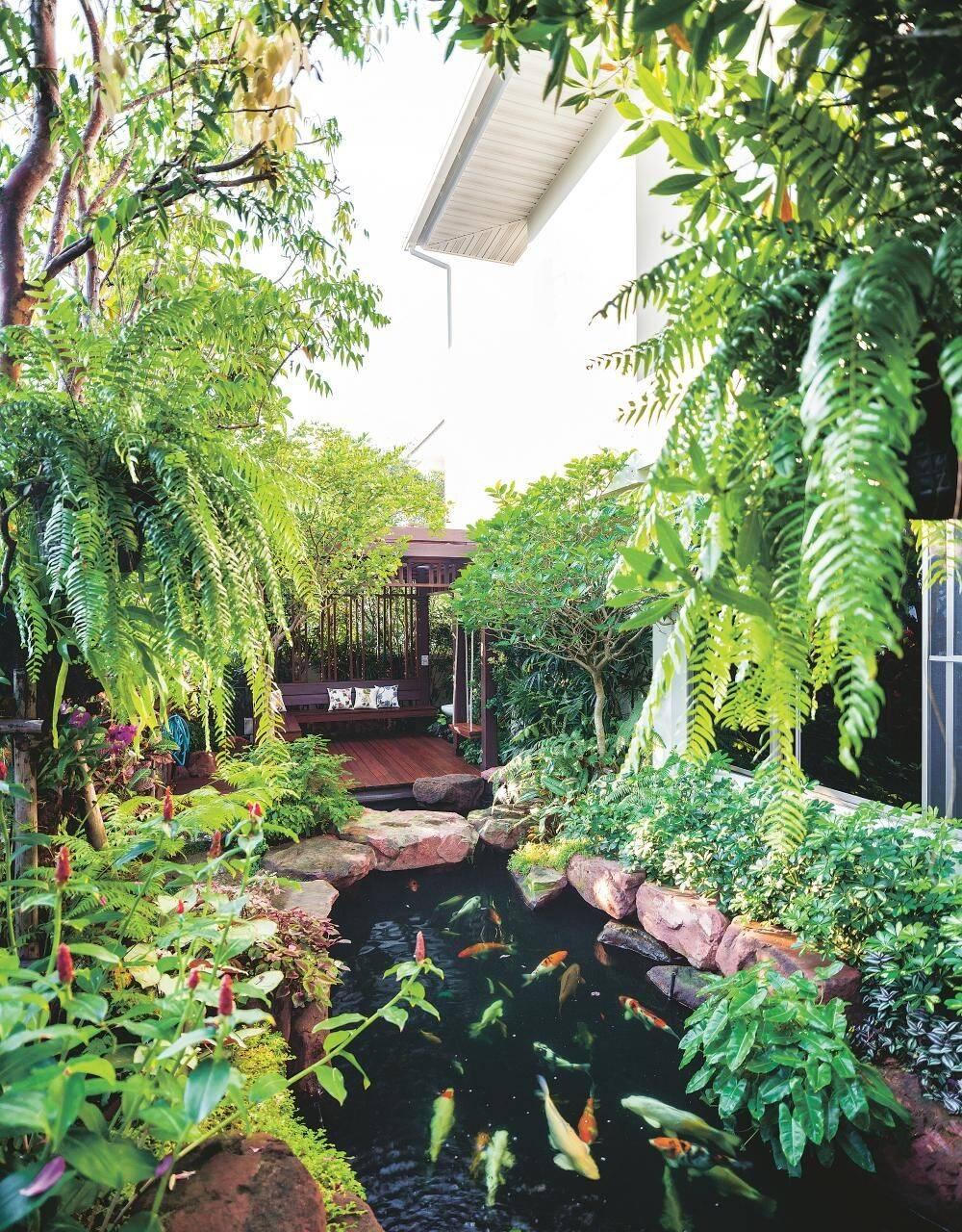 Ngôi nhà có sân vườn, ao cá, thác nước, một “ốc đảo” giữa lòng đô thị