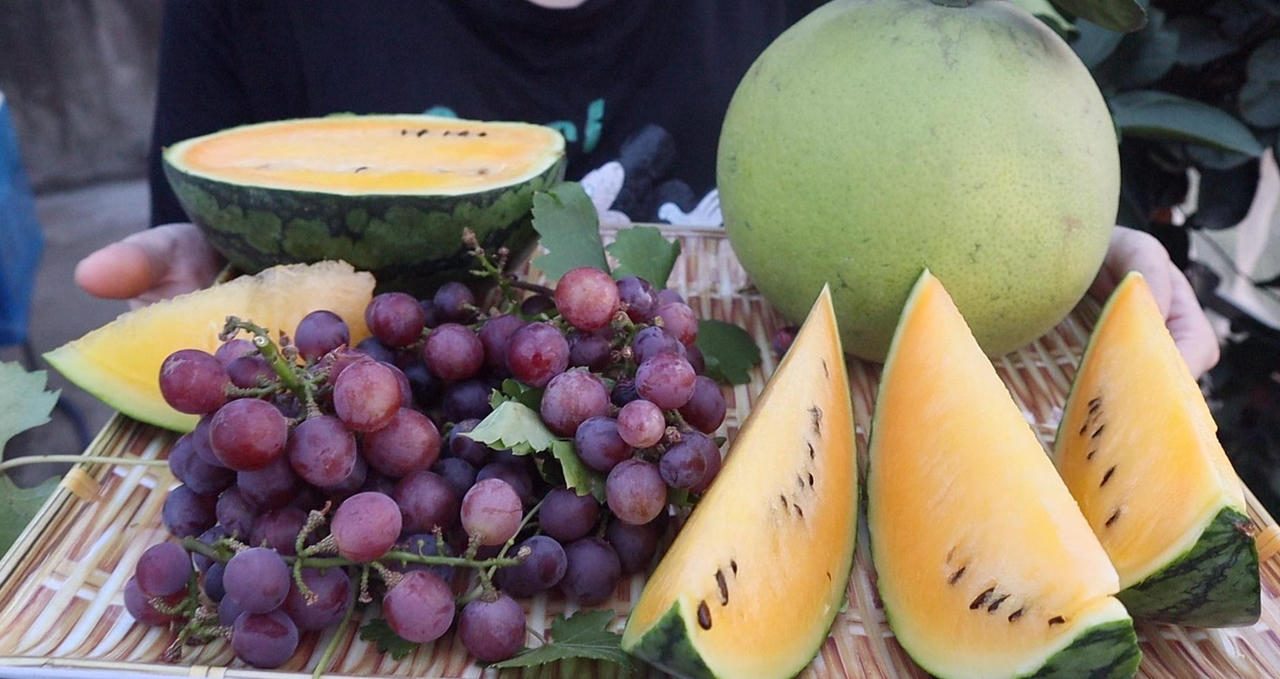 Con gái đòi ăn loại quả chỉ có ở siêu thị thành phố, bà mẹ quê quyết tâm trồng cả vườn trên sân thượng