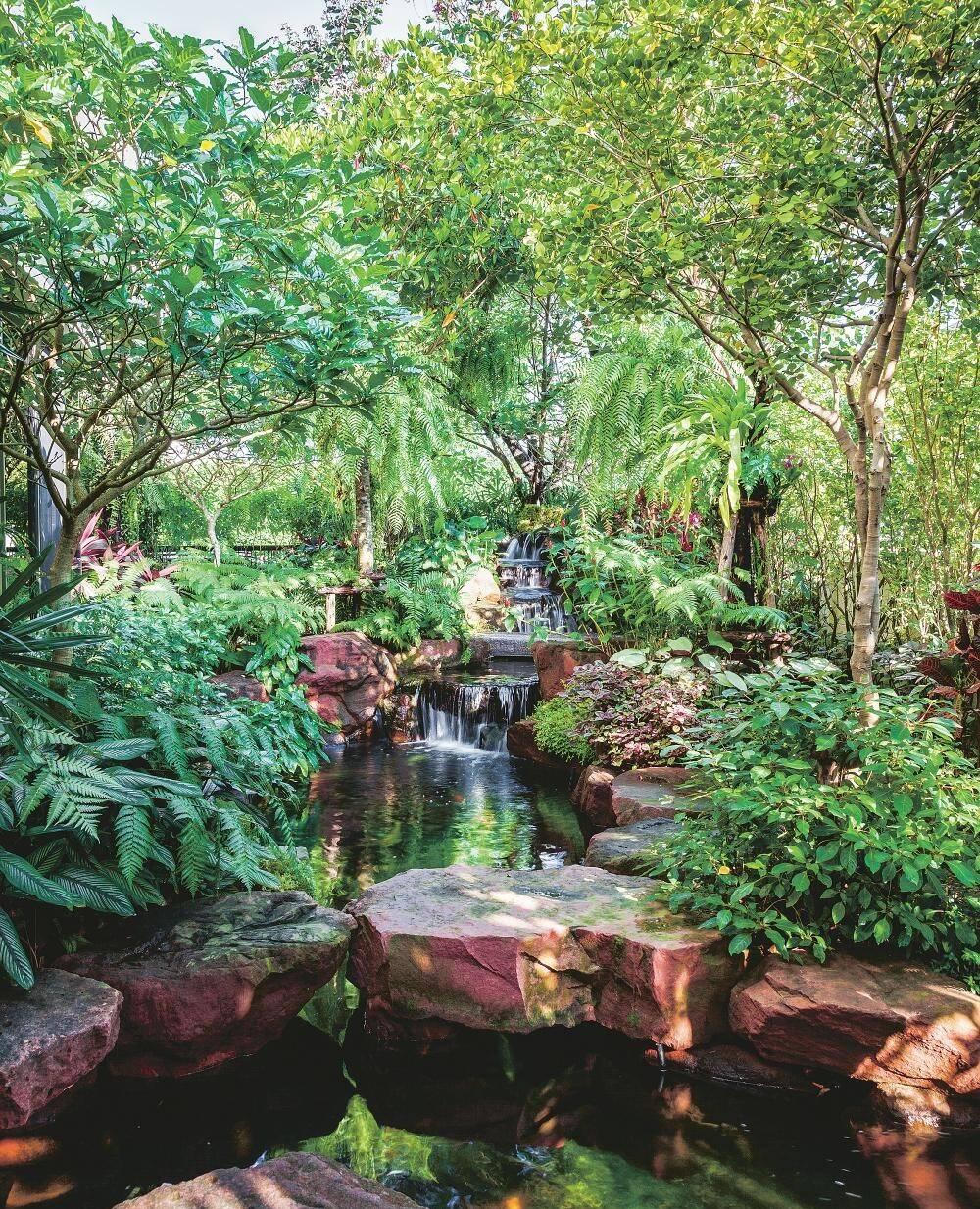 Ngôi nhà có sân vườn, ao cá, thác nước, một “ốc đảo” giữa lòng đô thị