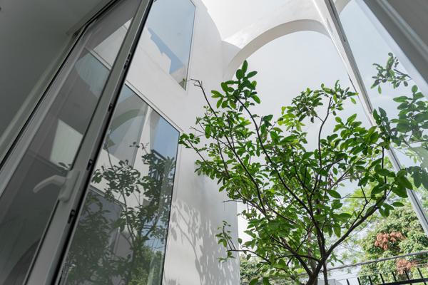 Ngôi nhà ngập tràn ánh sáng tự nhiên từ những ô cửa kính