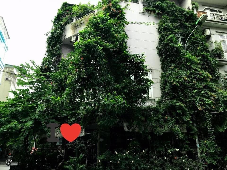 Ngôi nhà phủ đầy hoa leo của nữ thiết kế thời trang