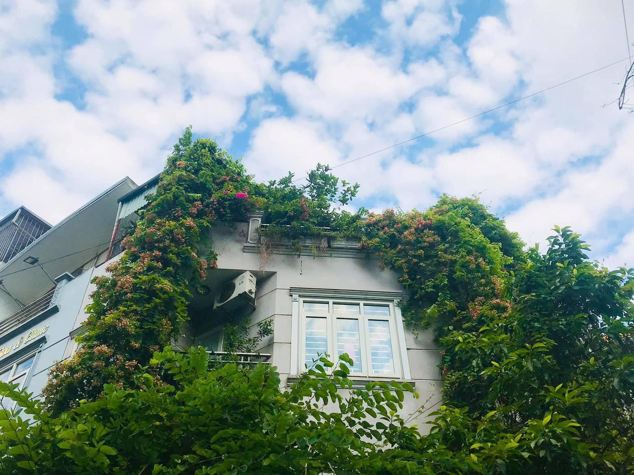 Ngôi nhà phủ đầy hoa leo của nữ thiết kế thời trang