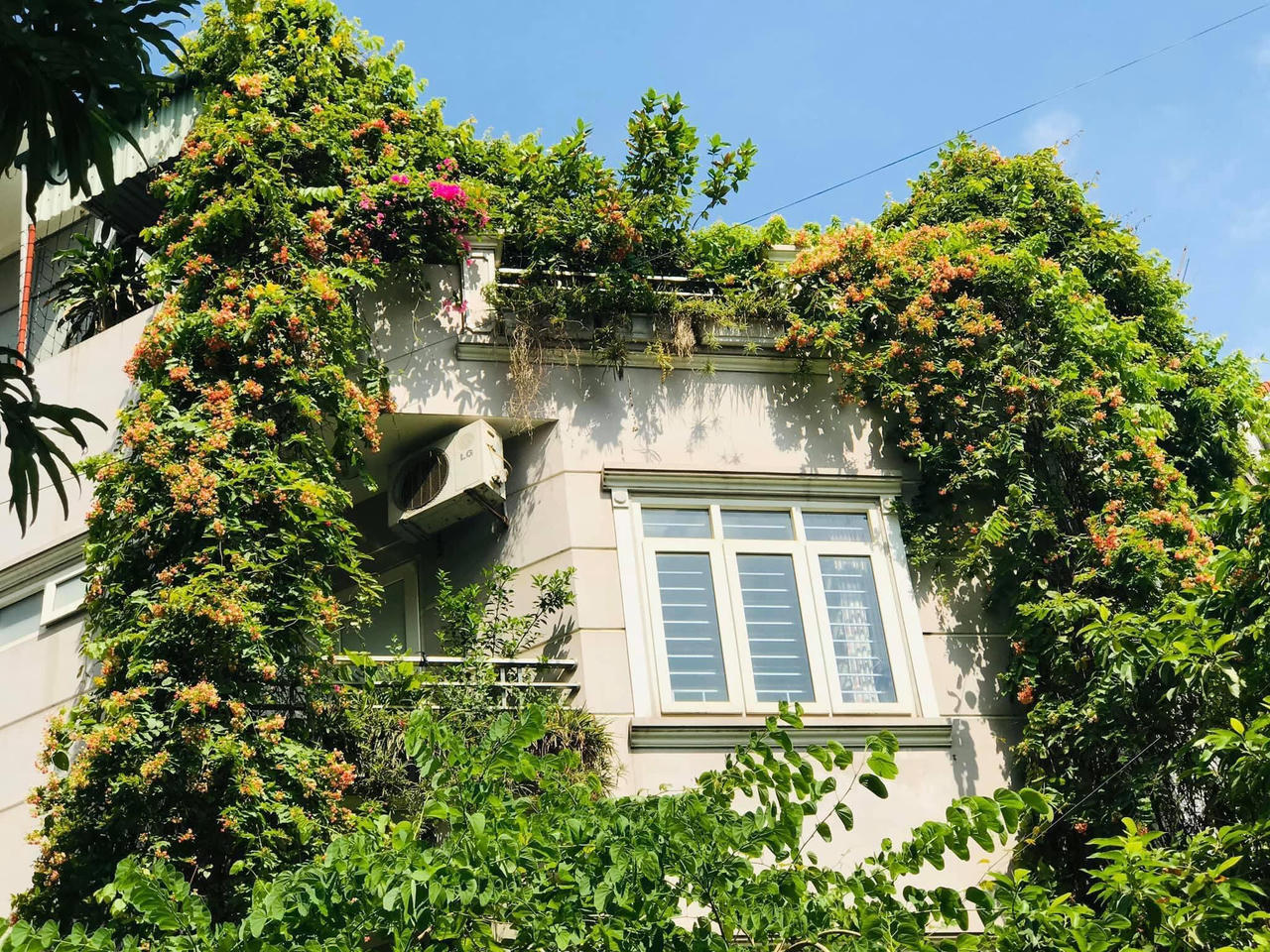 Ngôi nhà phủ đầy hoa leo của nữ thiết kế thời trang