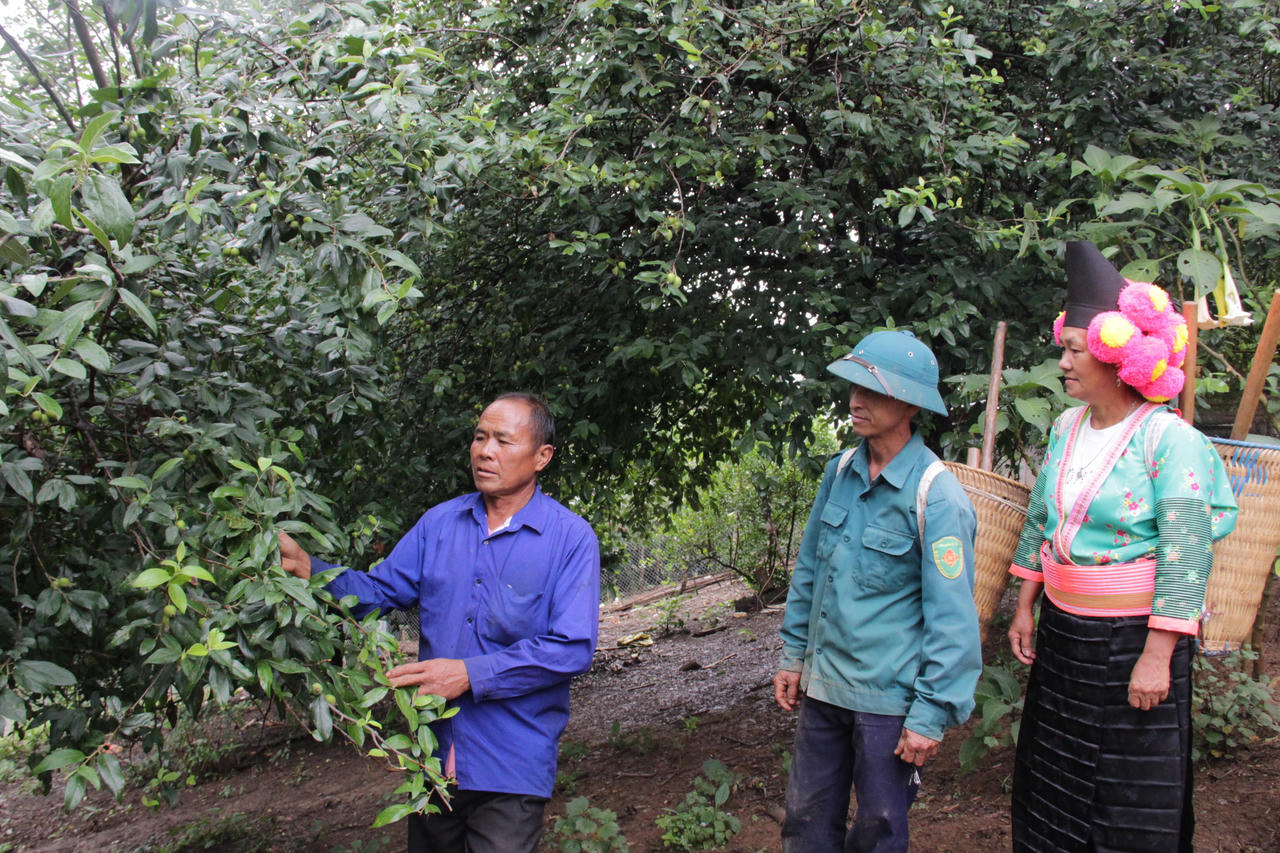 Những cánh chim đầu đàn giữ bản làng yên vui