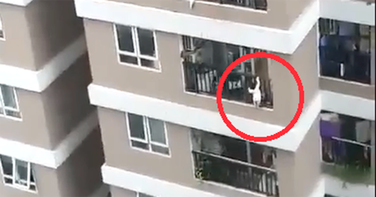 Tài xế dũng cảm được vinh danh ở Bảo tàng Hồ Chí Minh 