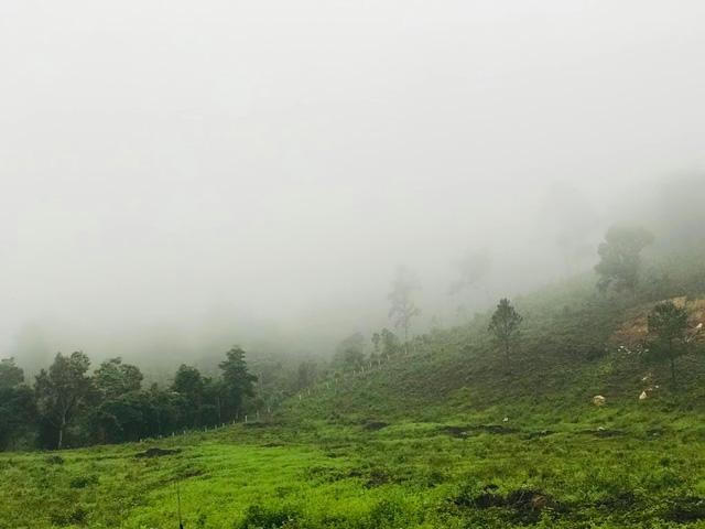 Trốn dịch bỏ phố về rừng sống ở farmstay: Nỗi khiếp sợ ngày nóng mất điện, ngày mưa sợ rắn