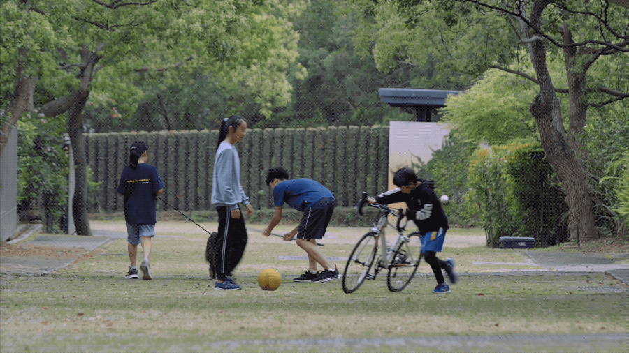 24 gia đình góp tiền mua mảnh đất xây một ngôi làng như cổ tích để tận hưởng cuộc sống an yên cùng nhau
