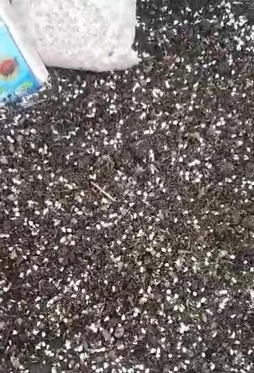 Khu vườn trên không xanh mướt nhờ rác thải nhà bếp