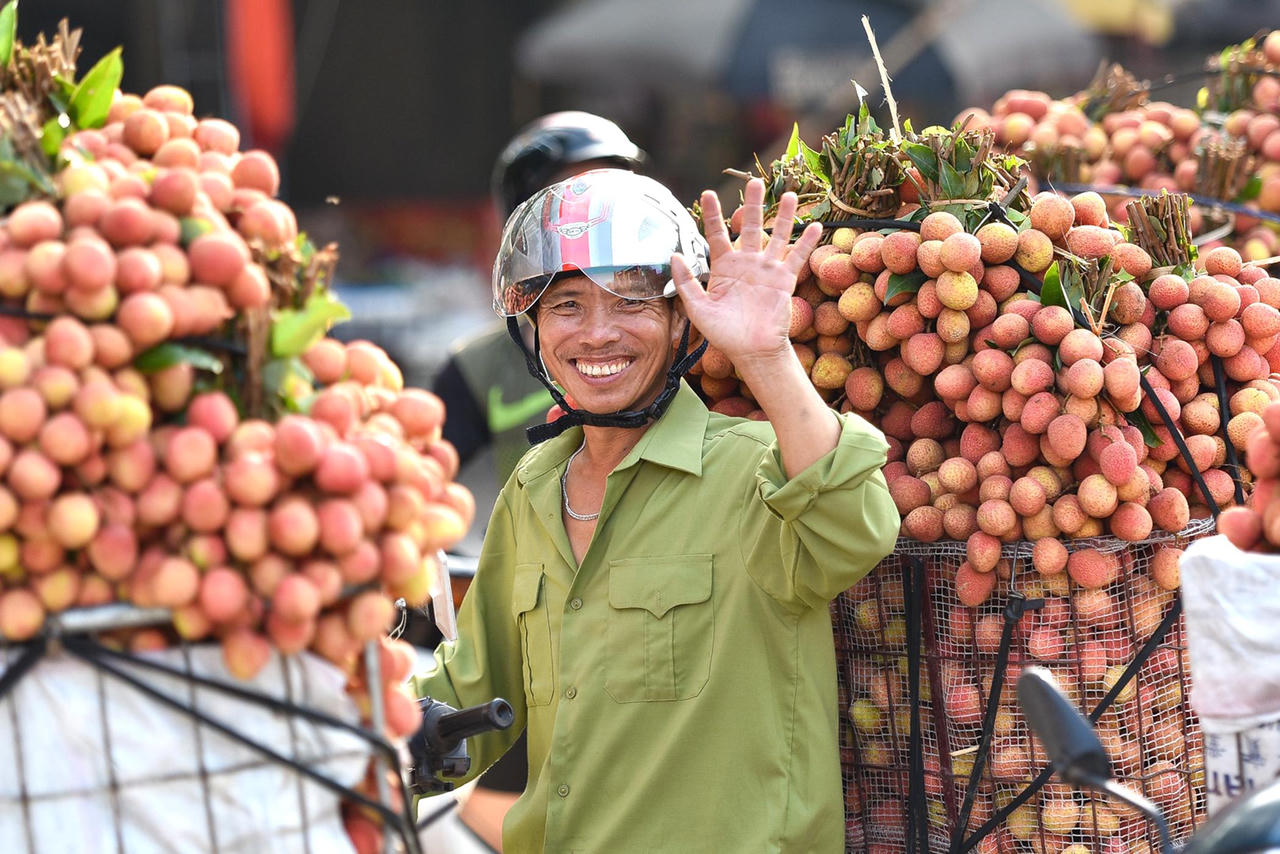 Doanh nhân góp công đưa “chiến dịch vải thiều” đến đại thắng