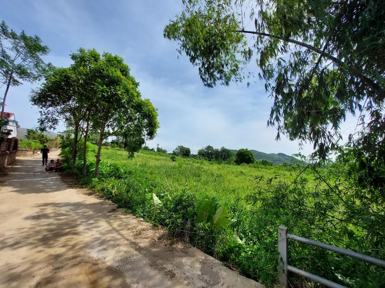 Bán mảnh đất 6300m2 tặng kèm 1100m2 ngoài sổ