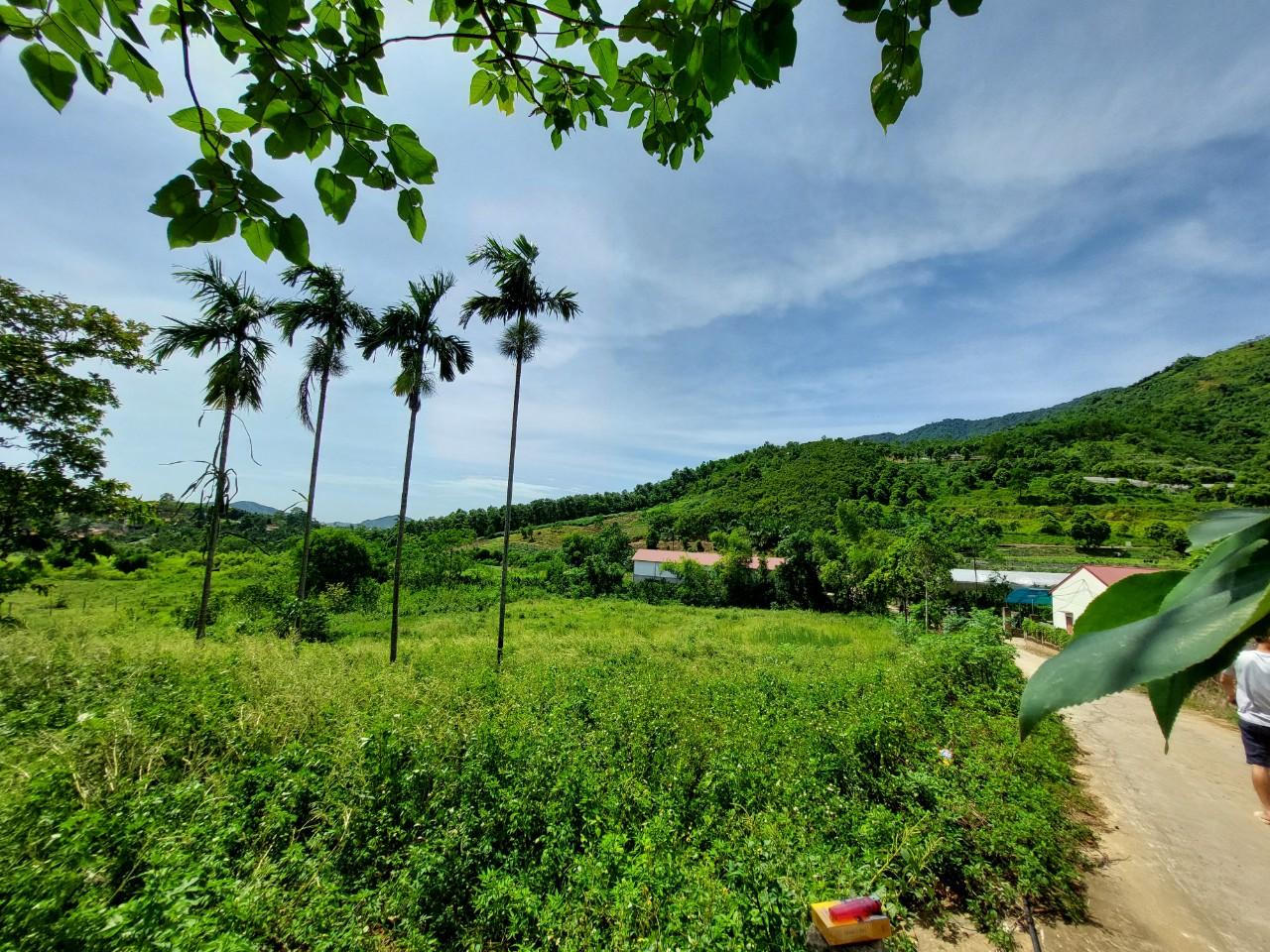 Bán mảnh đất 6300m2 tặng kèm 1100m2 ngoài sổ