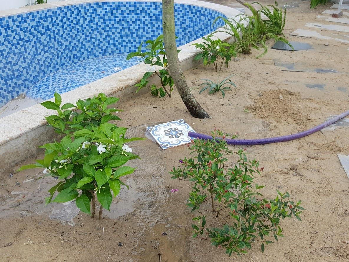 Chi 2 tỷ đồng biến căn nhà cấp 4 thành resort đẹp như mơ mang phong cách Địa Trung Hải