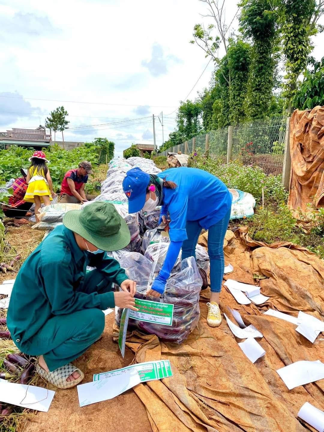Trưởng Ban Tuyên giáo Lâm Hà (Lâm Đồng) Nguyễn Văn Tình: Luôn tròn vai “gác cửa” mặt trận tư tưởng