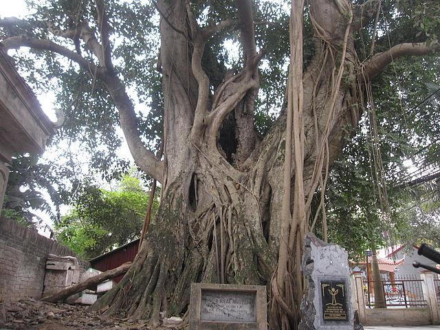 Chuyện sẻ chia ở ngôi chùa có chiều dài lịch sử hiếm có