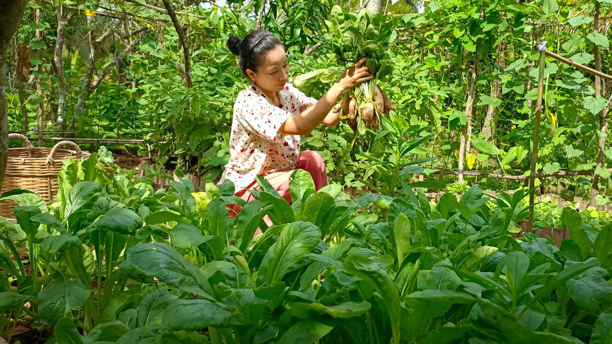 "Bỏ phố về quê", cặp vợ chồng Bến Tre làm khu vườn 500m2 tràn ngập rau trái
