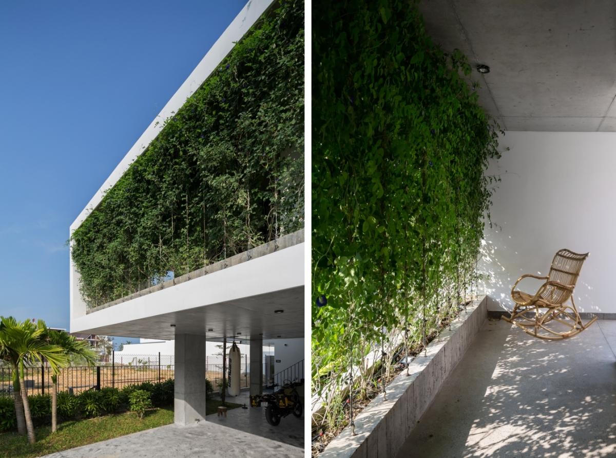 Căn nhà lấy cây xanh làm rèm