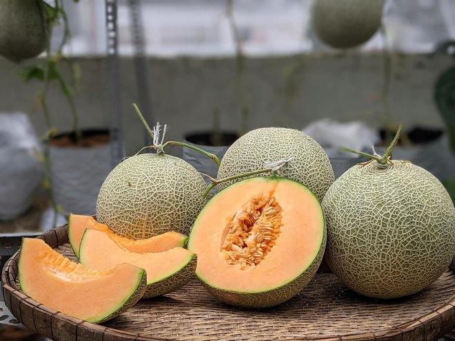 Kiến trúc sư "lột xác" sân thượng cũ bằng khu vườn sum suê giữa TPHCM