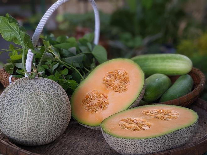 Kiến trúc sư "lột xác" sân thượng cũ bằng khu vườn sum suê giữa TPHCM