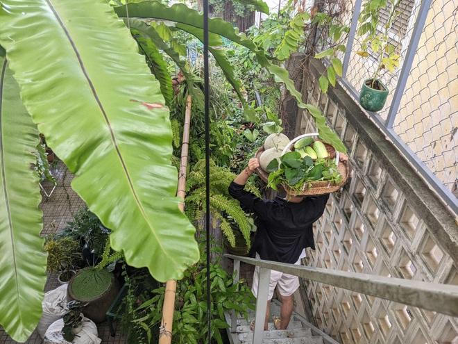 Kiến trúc sư "lột xác" sân thượng cũ bằng khu vườn sum suê giữa TPHCM