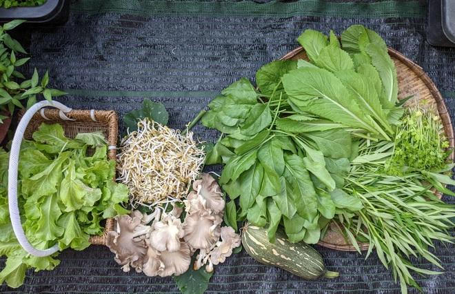 Kiến trúc sư "lột xác" sân thượng cũ bằng khu vườn sum suê giữa TPHCM