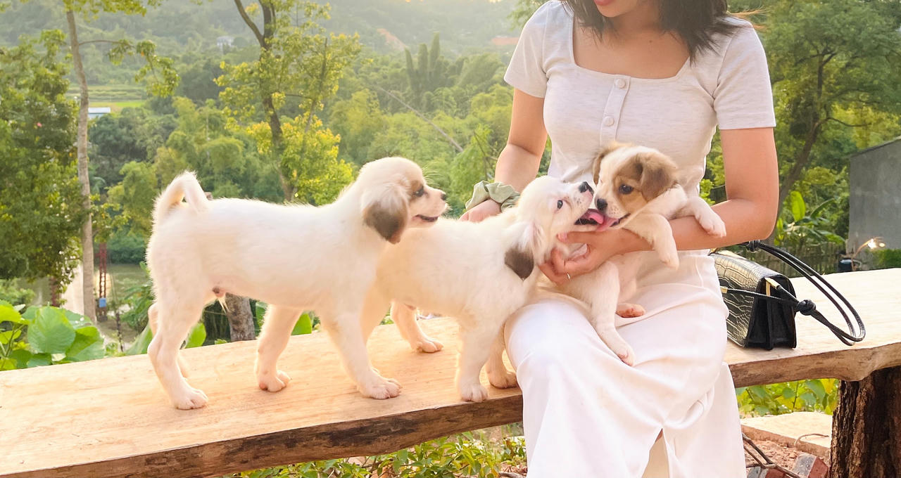 Cô gái rời Thủ đô, về Cao Bằng dựng ngôi nhà gỗ cheo leo bên sườn núi đẹp mê hồn