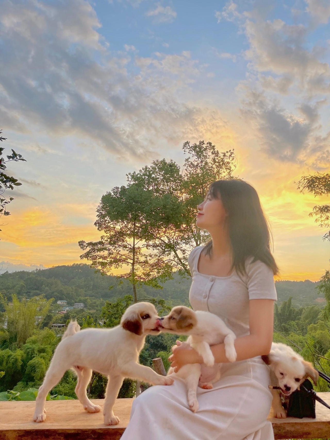 Cô gái rời Thủ đô, về Cao Bằng dựng ngôi nhà gỗ cheo leo bên sườn núi đẹp mê hồn