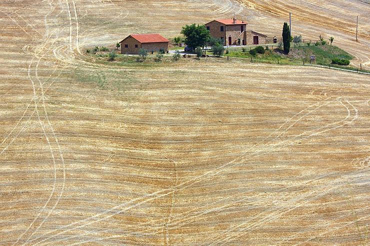 Ngắm trang trại nằm giữa cánh đồng lúa