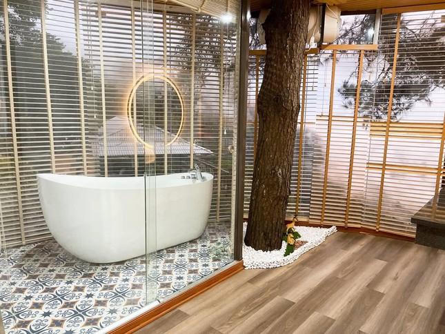 Chán ở mặt đất, gia chủ tự làm nhà trên cây đẹp mơ màng