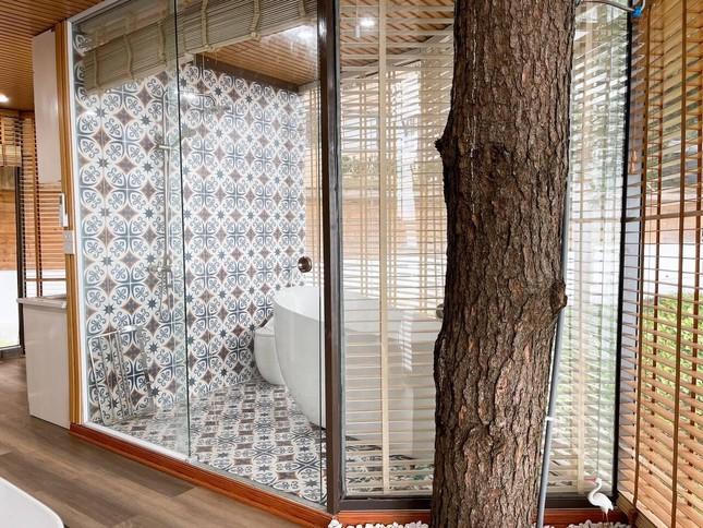 Chán ở mặt đất, gia chủ tự làm nhà trên cây đẹp mơ màng