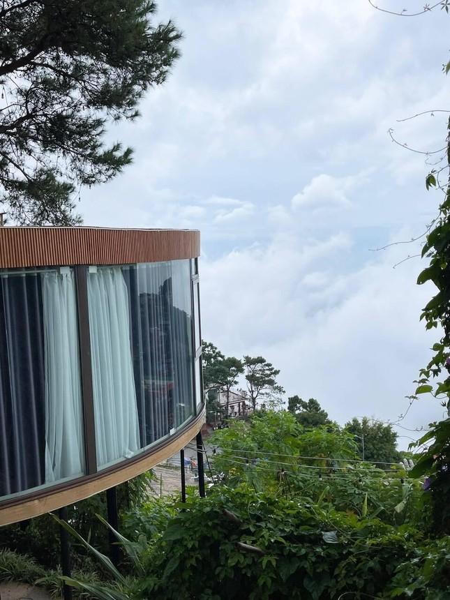 Chán ở mặt đất, gia chủ tự làm nhà trên cây đẹp mơ màng