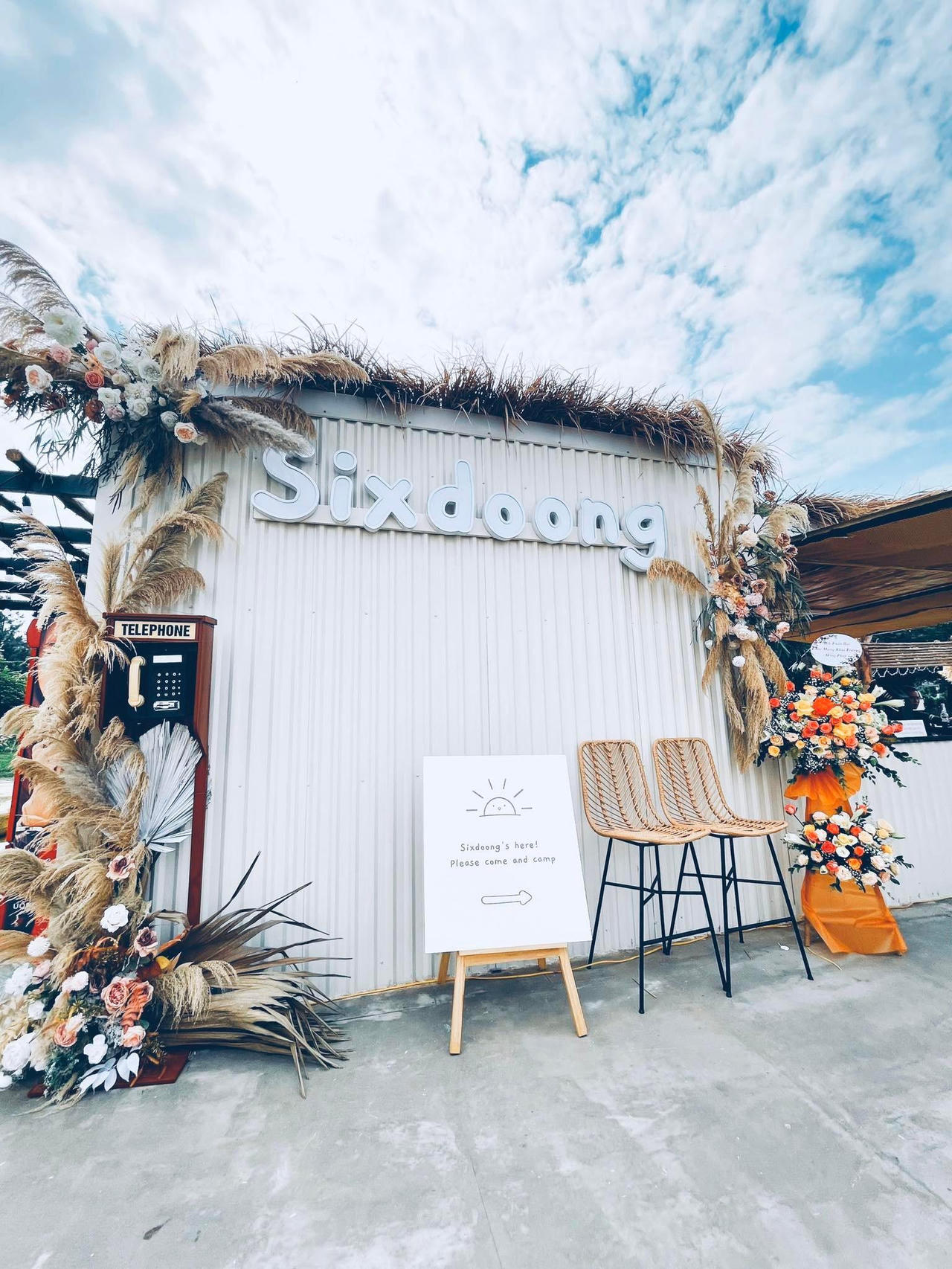 Sixdoong café & camping - check in Hà Nội nghe gió reo trên ngọn thông, ngắm hoàng hôn trên sông Hồng