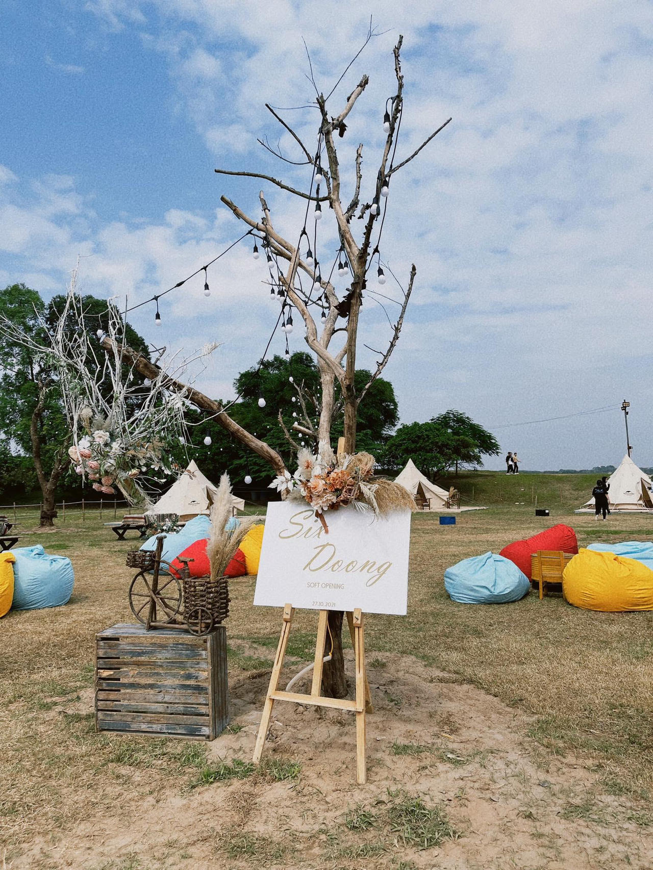 Sixdoong café & camping - check in Hà Nội nghe gió reo trên ngọn thông, ngắm hoàng hôn trên sông Hồng