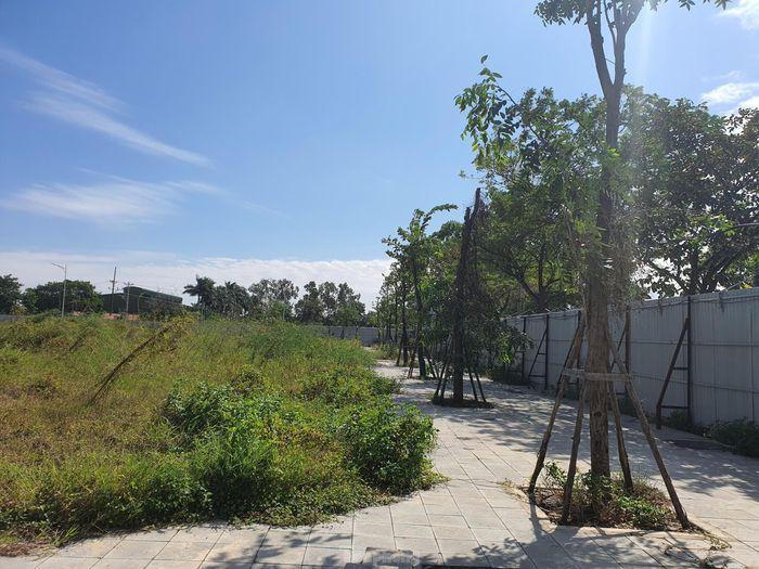 Cận cảnh khu đất bị Chủ tịch Vimedimex tổ chức dìm giá