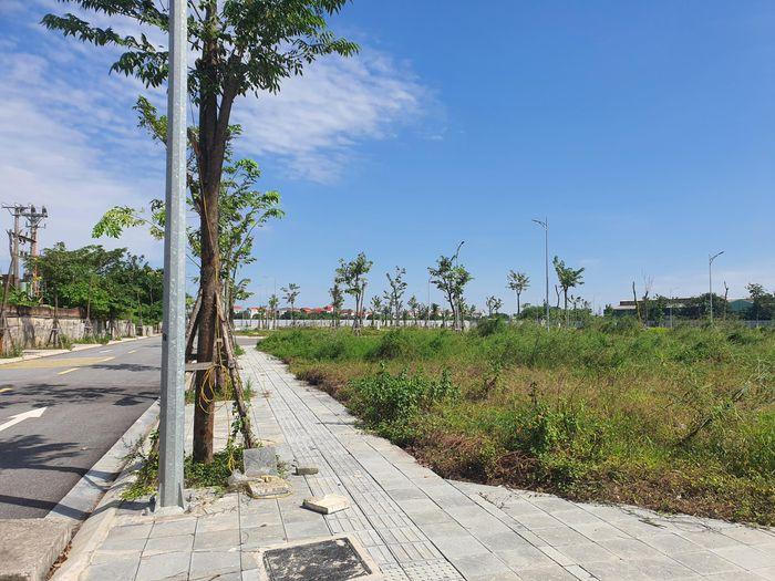 Cận cảnh khu đất bị Chủ tịch Vimedimex tổ chức dìm giá