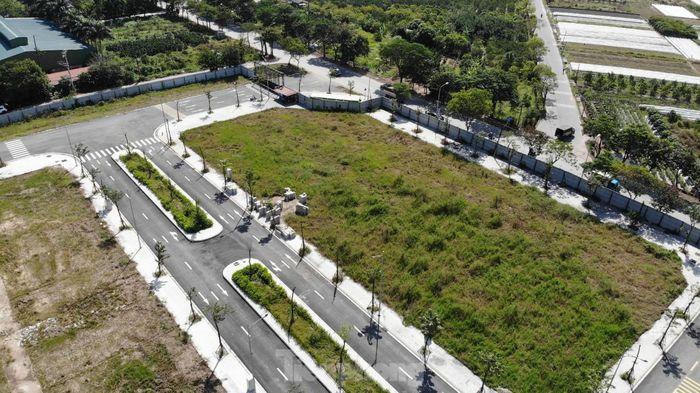 Cận cảnh khu đất bị Chủ tịch Vimedimex tổ chức dìm giá