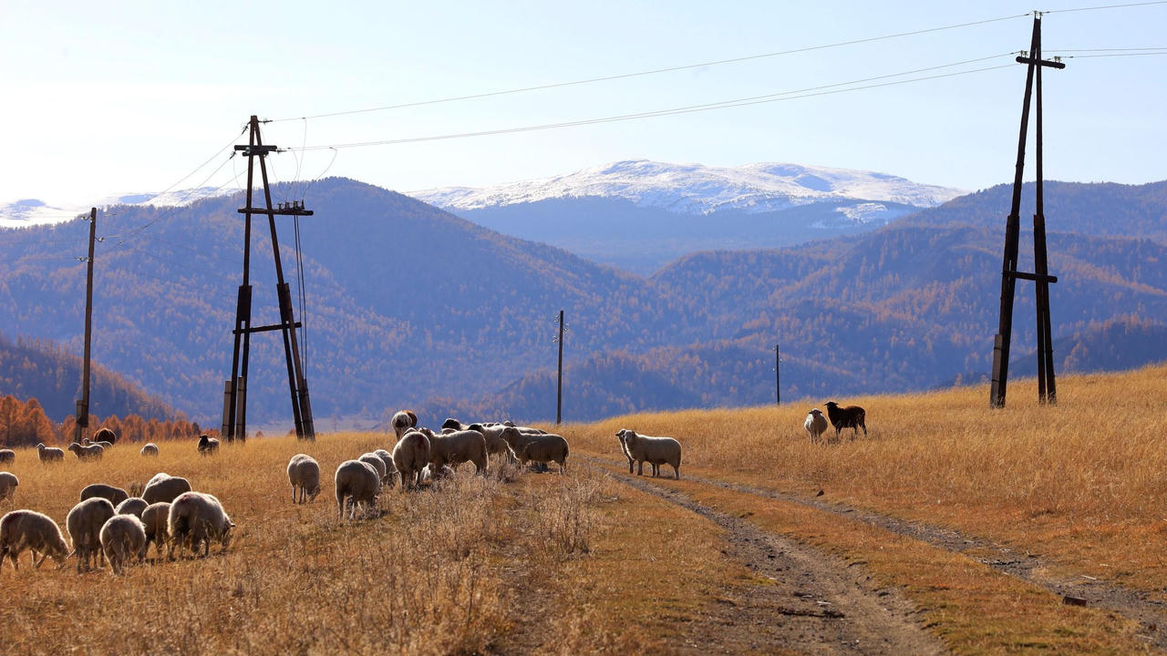 Khám phá Chuisky – Cung đường đẹp nhất nước Nga