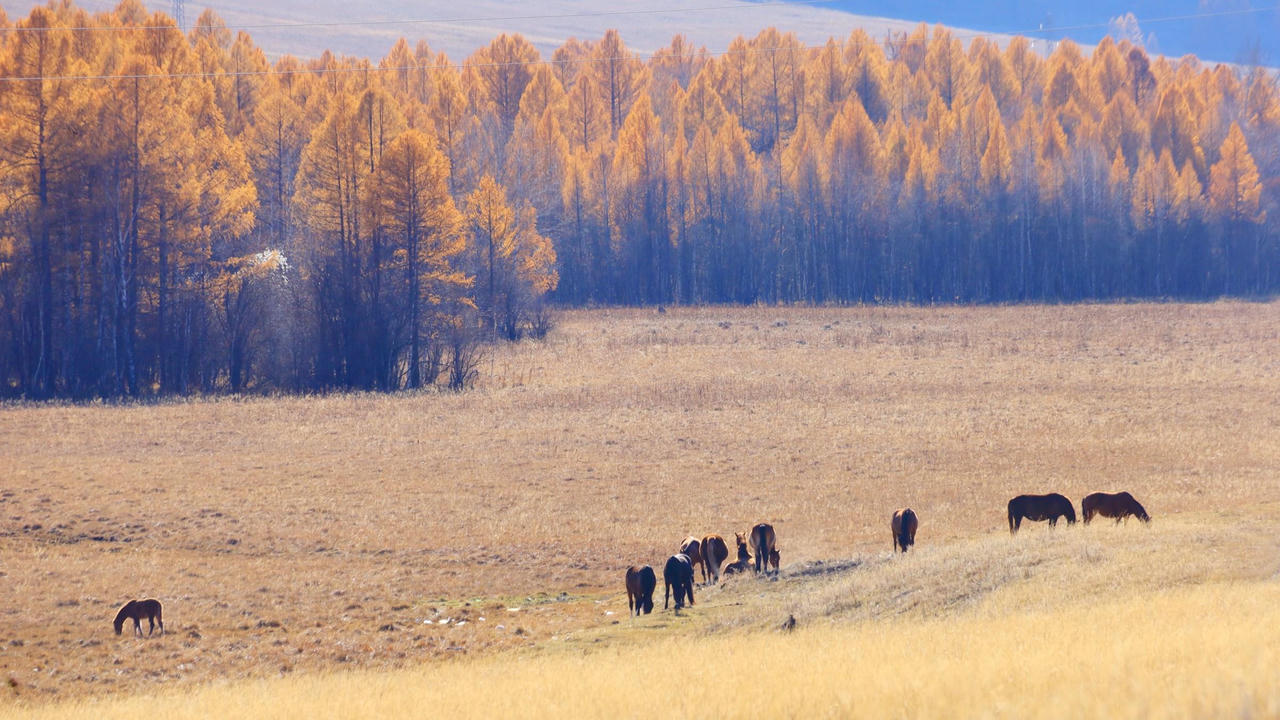 Khám phá Chuisky – Cung đường đẹp nhất nước Nga