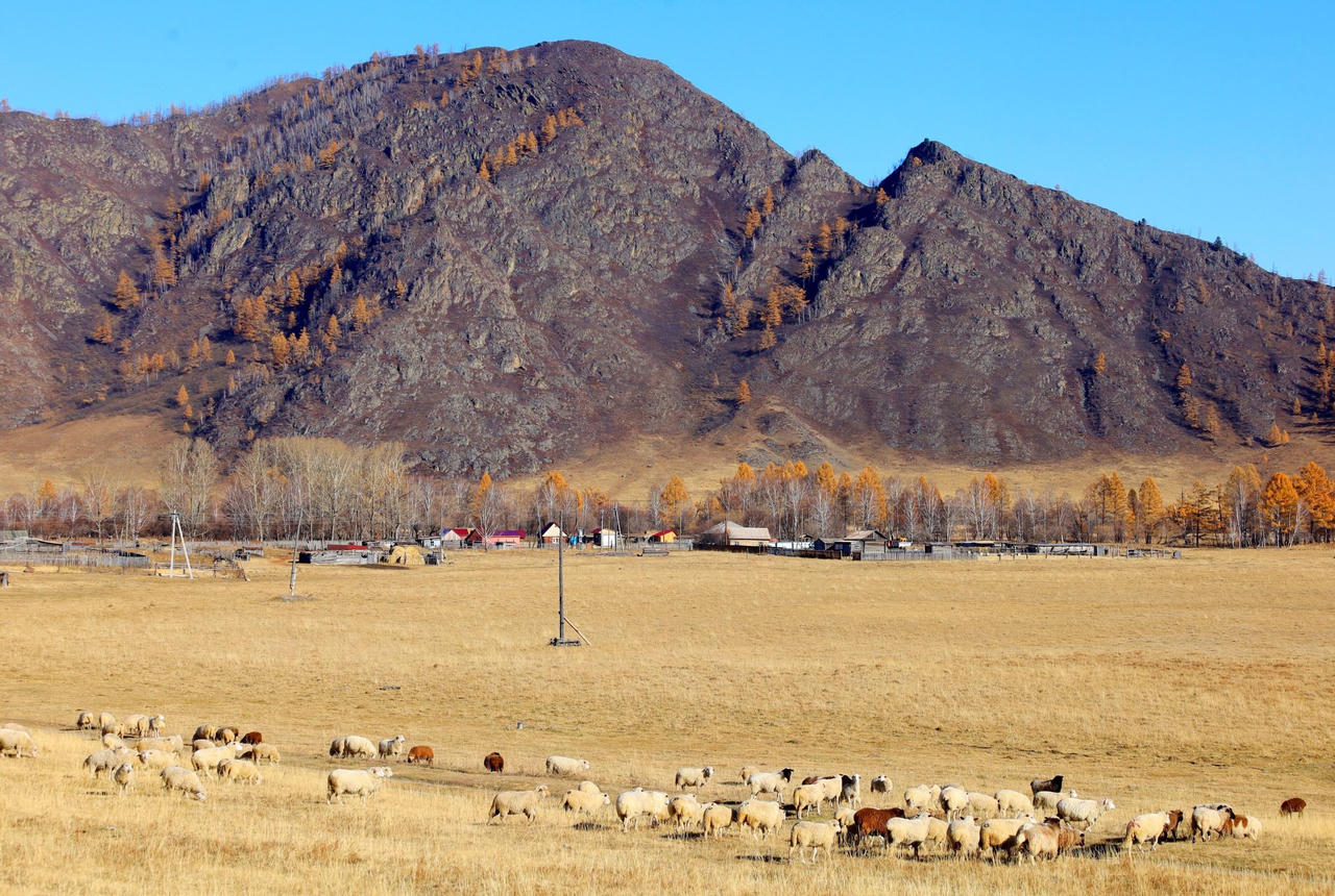 Khám phá Chuisky – Cung đường đẹp nhất nước Nga