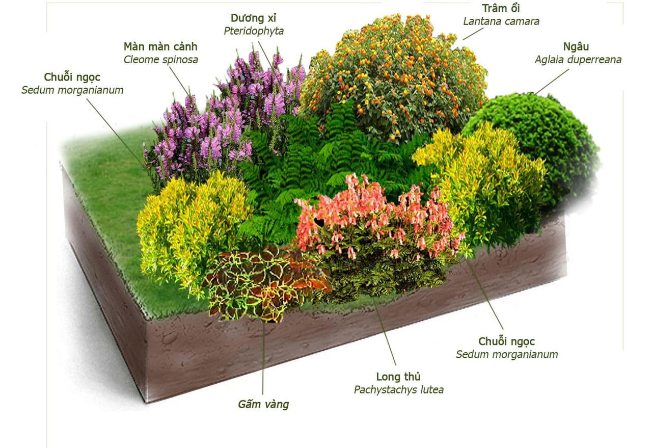 Khu vườn sinh thái cho ngôi nhà đô thị