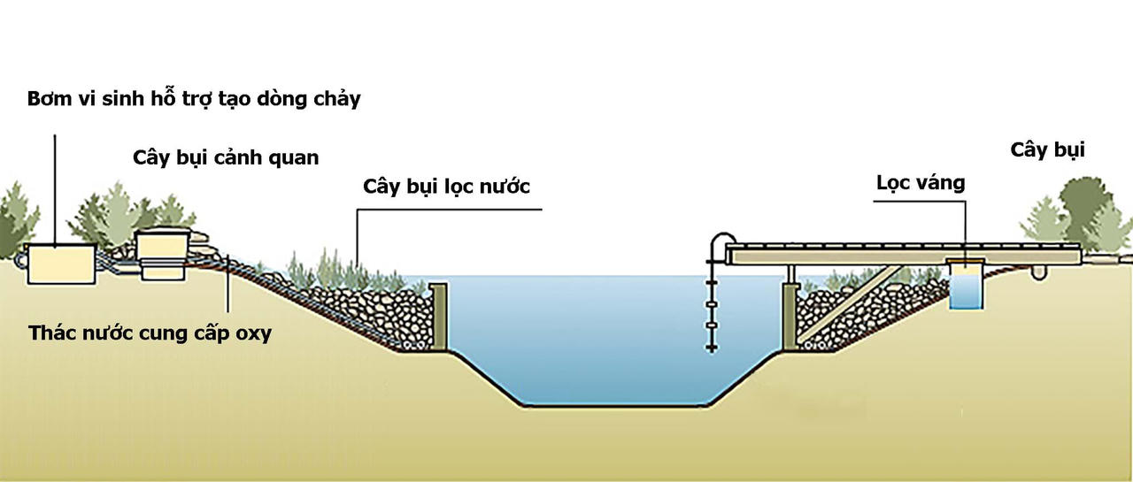 Khu vườn sinh thái cho ngôi nhà đô thị