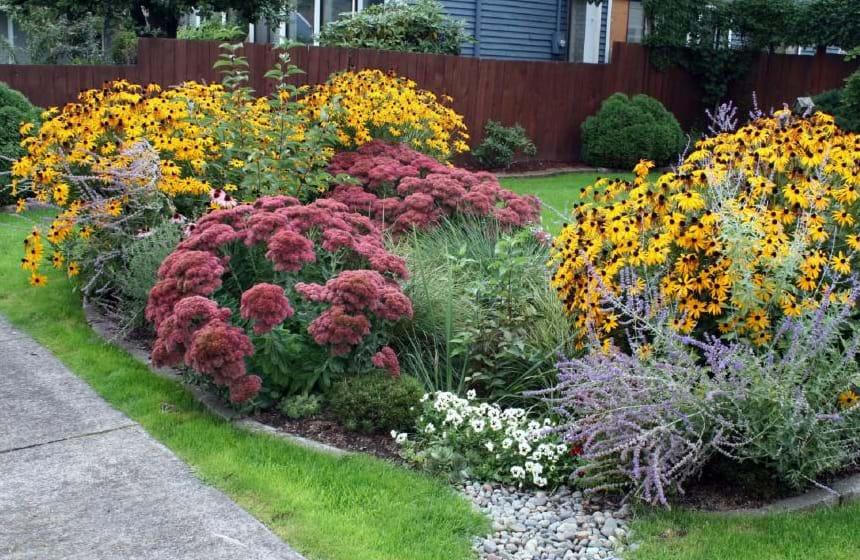 Khu vườn sinh thái cho ngôi nhà đô thị