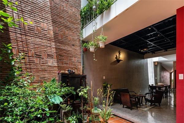 Mẫu nhà cấp 4 mang đậm phong cách thập niên 1990 nhưng vẫn không thiếu góc sống ảo xanh mướt hiện đại